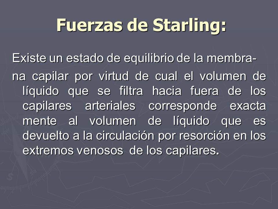 Fuerzas de Starling: Existe un estado de equilibrio de la membra-