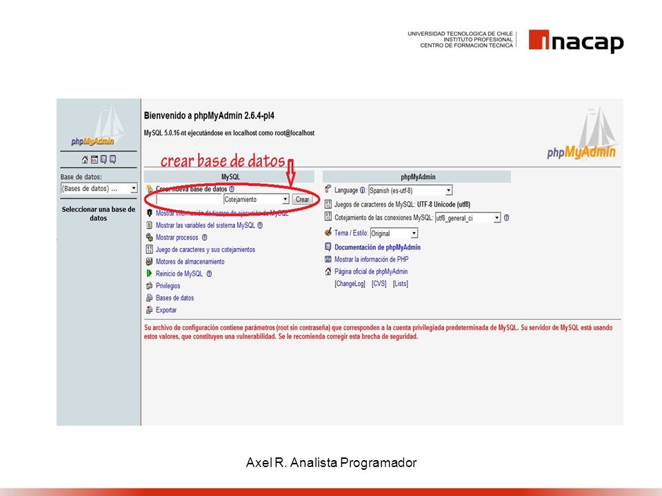 Axel R. Analista Programador