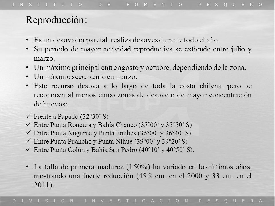 Reproducción: Es un desovador parcial, realiza desoves durante todo el año.