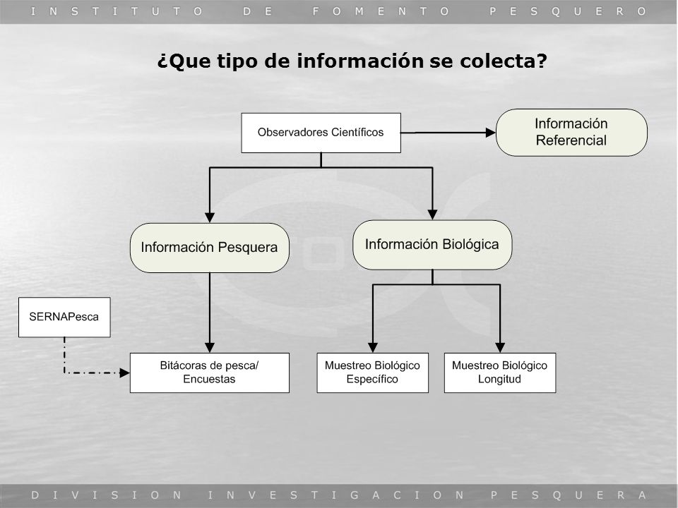 ¿Que tipo de información se colecta