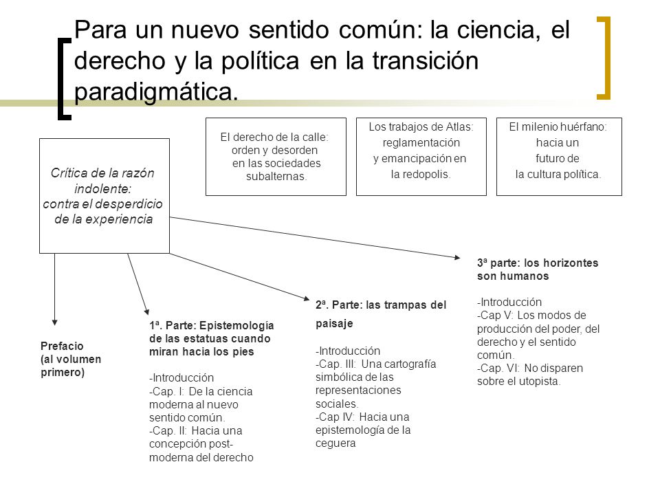 Para un nuevo sentido común: la ciencia, el derecho y la política en la transición paradigmática.