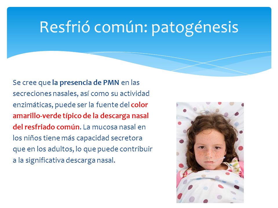 Resfrió común: patogénesis