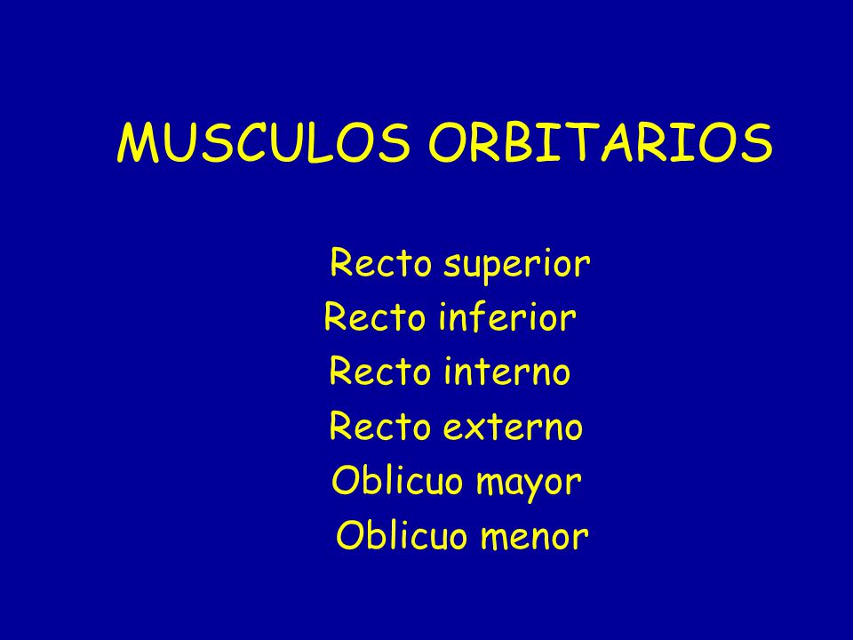 MUSCULOS ORBITARIOS Recto superior Recto inferior Recto interno