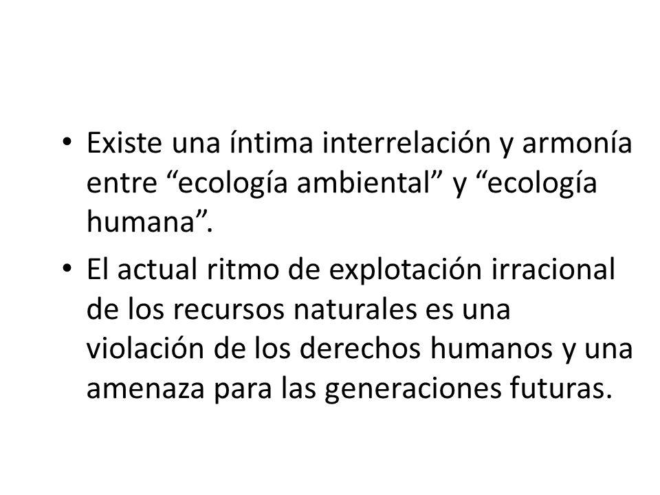Existe una íntima interrelación y armonía entre ecología ambiental y ecología humana .