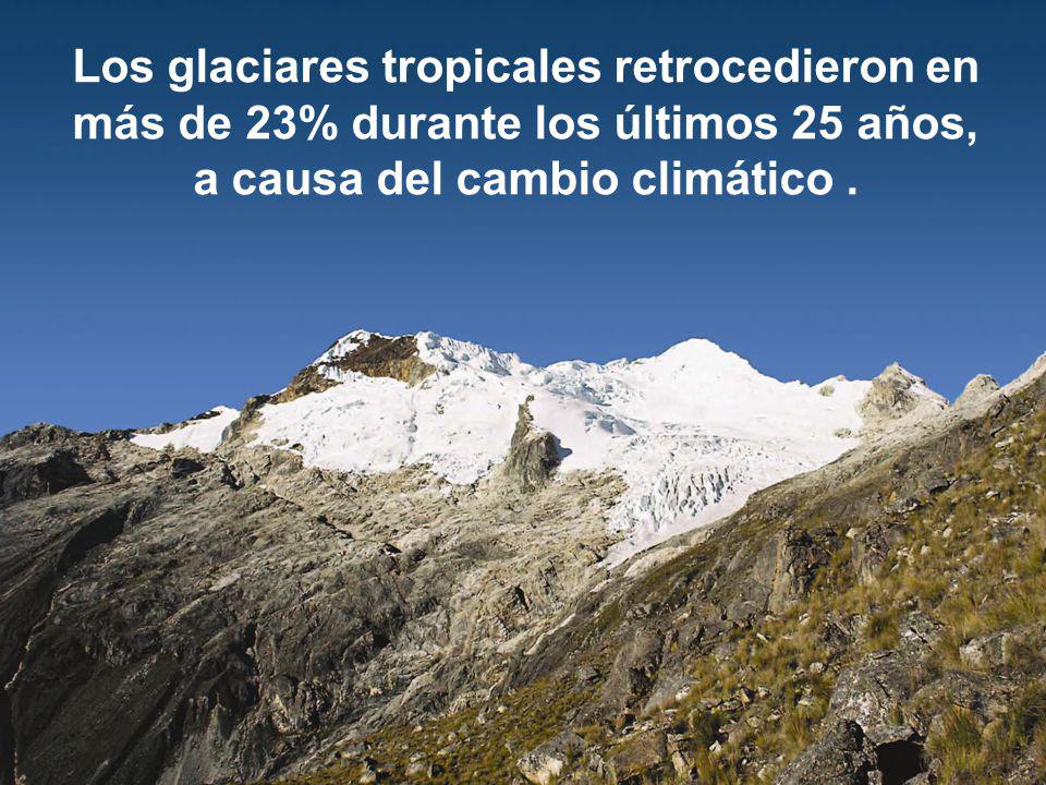 Los glaciares tropicales retrocedieron en más de 23% durante los últimos 25 años, a causa del cambio climático .