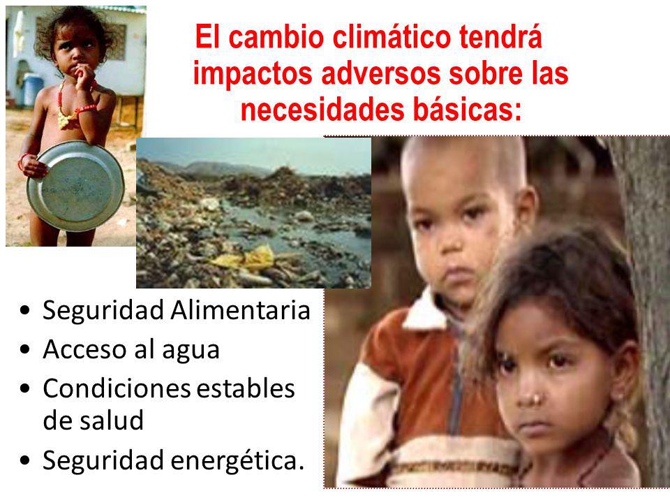 El cambio climático tendrá impactos adversos sobre las necesidades básicas: