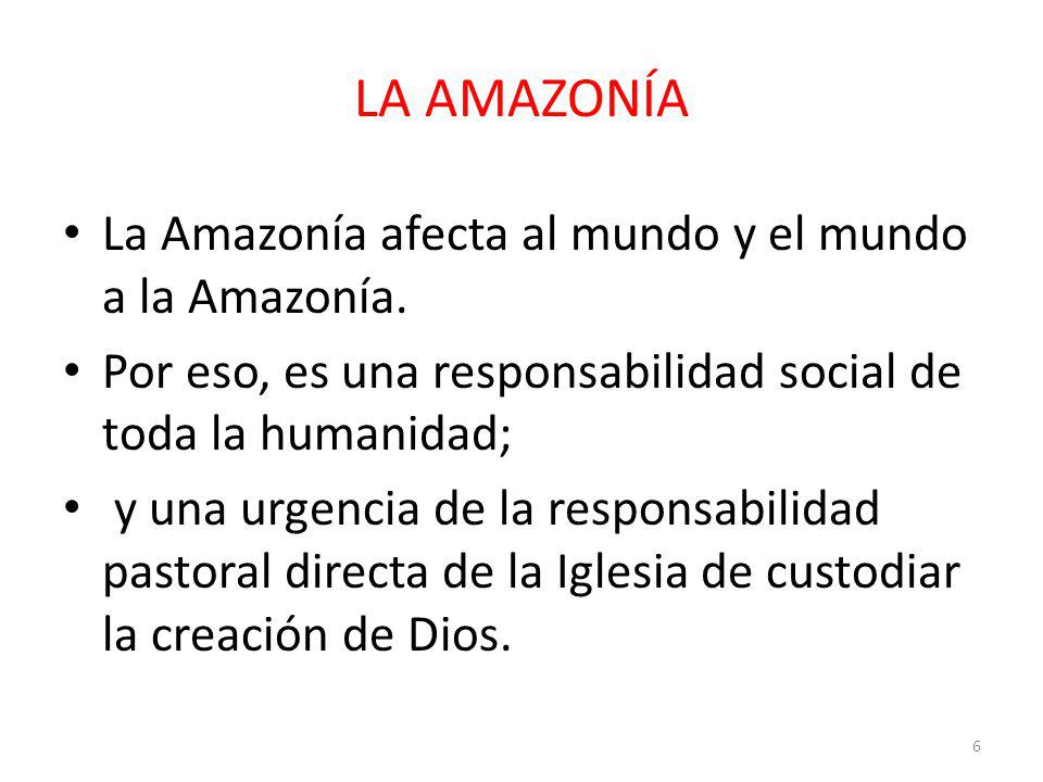 LA AMAZONÍA La Amazonía afecta al mundo y el mundo a la Amazonía.