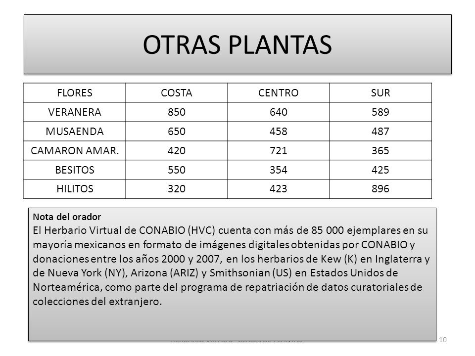HERBARIO VIRTUAL CLASES DE PLANTAS