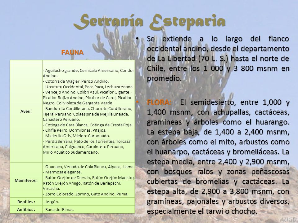 Serranía Esteparia