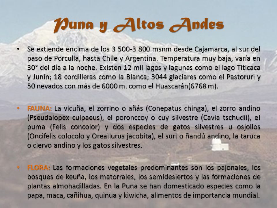 Puna y Altos Andes