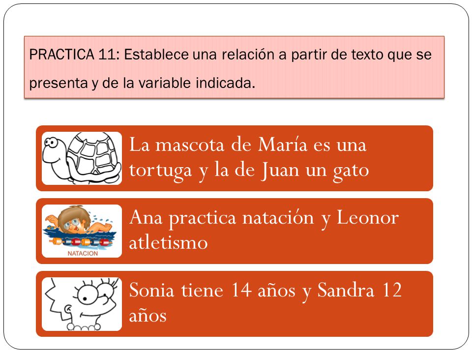 La mascota de María es una tortuga y la de Juan un gato