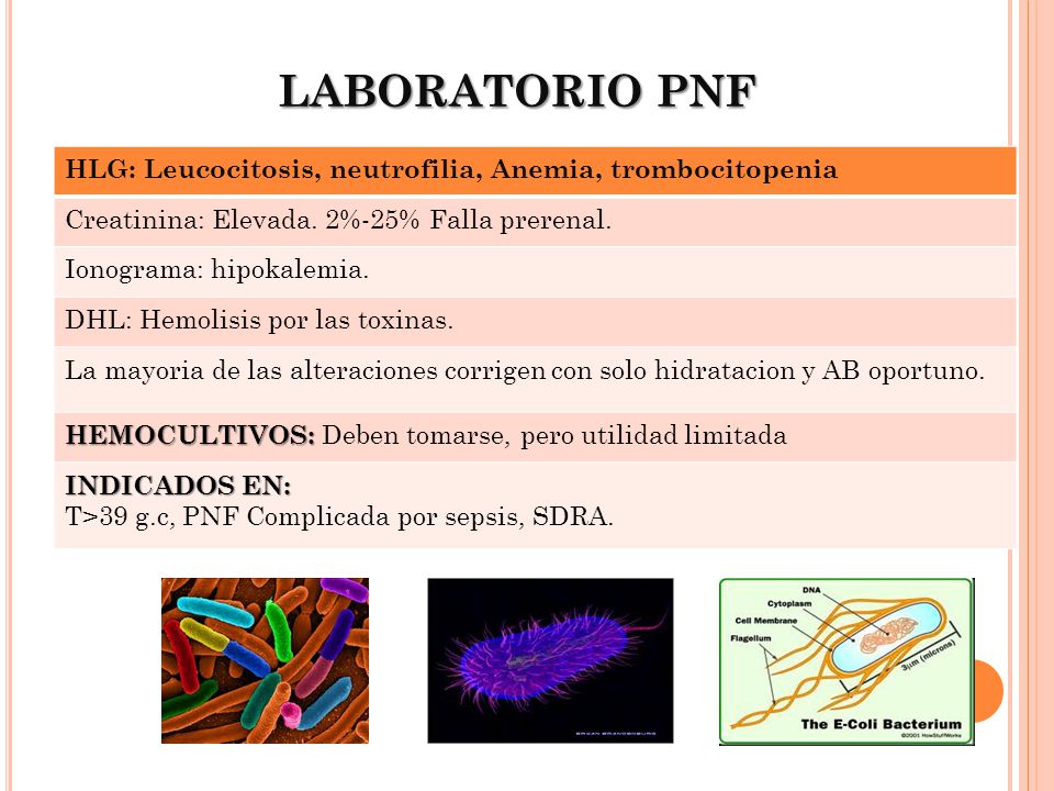 LABORATORIO PNF HLG: Leucocitosis, neutrofilia, Anemia, trombocitopenia. Creatinina: Elevada. 2%-25% Falla prerenal.