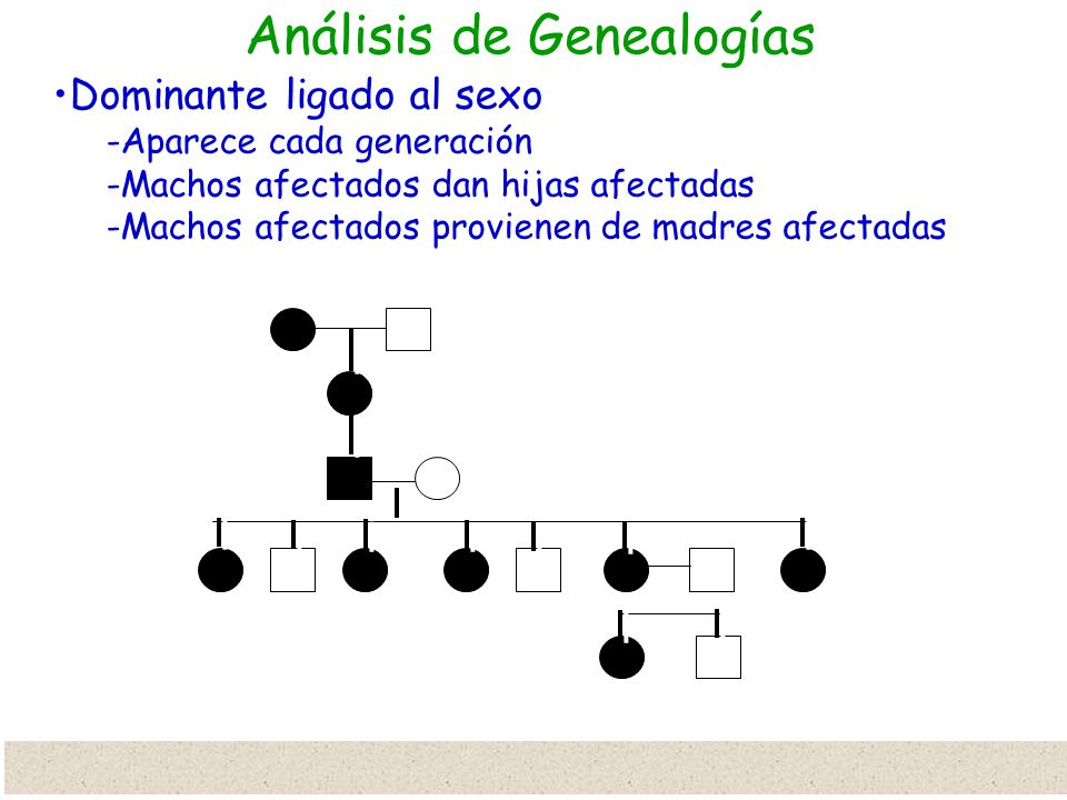 Análisis de Genealogías