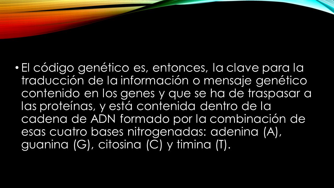 El código genético es, entonces, la clave para la traducción de la información o mensaje genético contenido en los genes y que se ha de traspasar a las proteínas, y está contenida dentro de la cadena de ADN formado por la combinación de esas cuatro bases nitrogenadas: adenina (A), guanina (G), citosina (C) y timina (T).