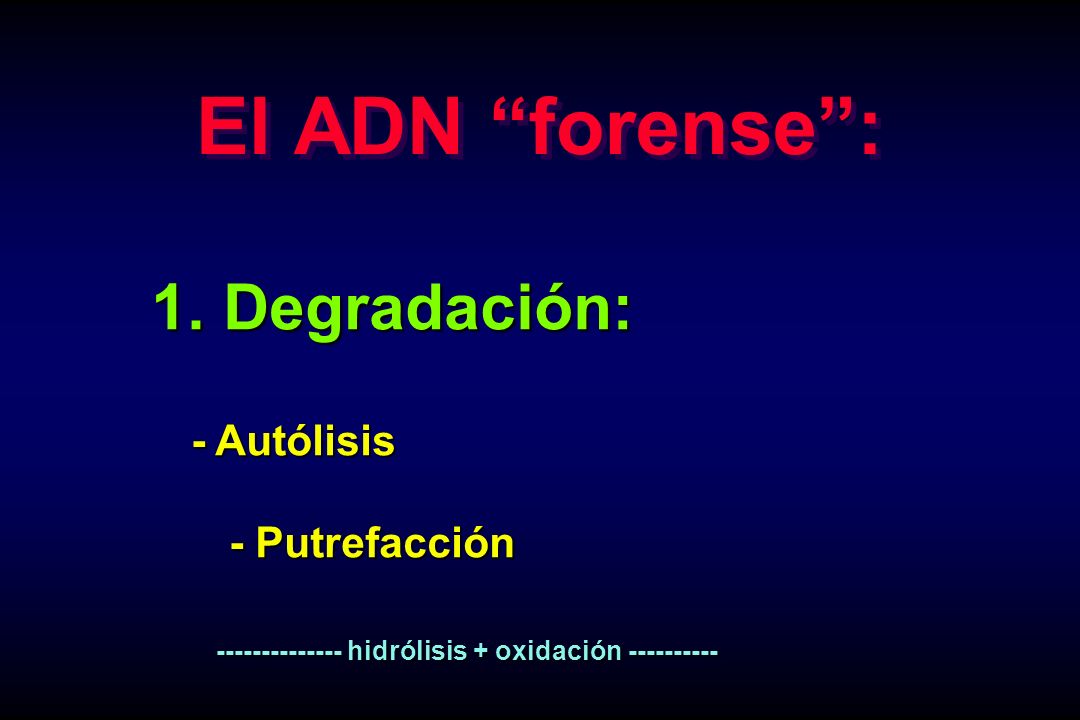 El ADN forense : 1. Degradación: - Autólisis - Putrefacción