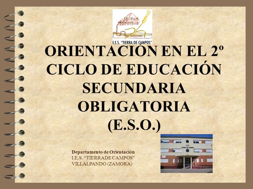 ORIENTACIÓN EN EL 2º CICLO DE EDUCACIÓN SECUNDARIA OBLIGATORIA (E.S.O.)
