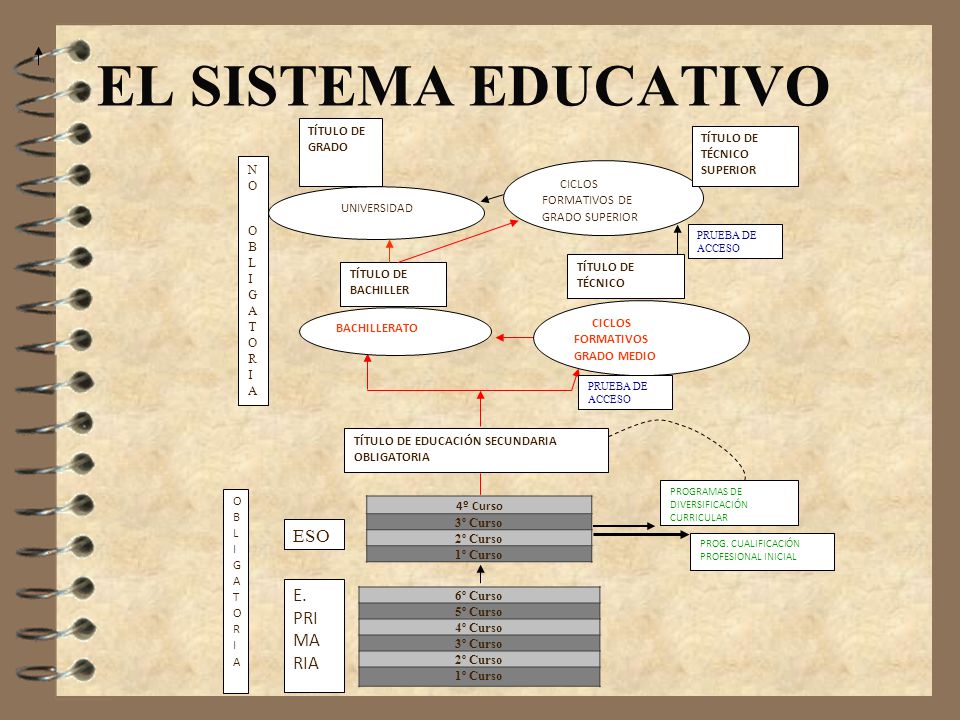 EL SISTEMA EDUCATIVO ESO E. PRI MA RIA TÍTULO DE GRADO