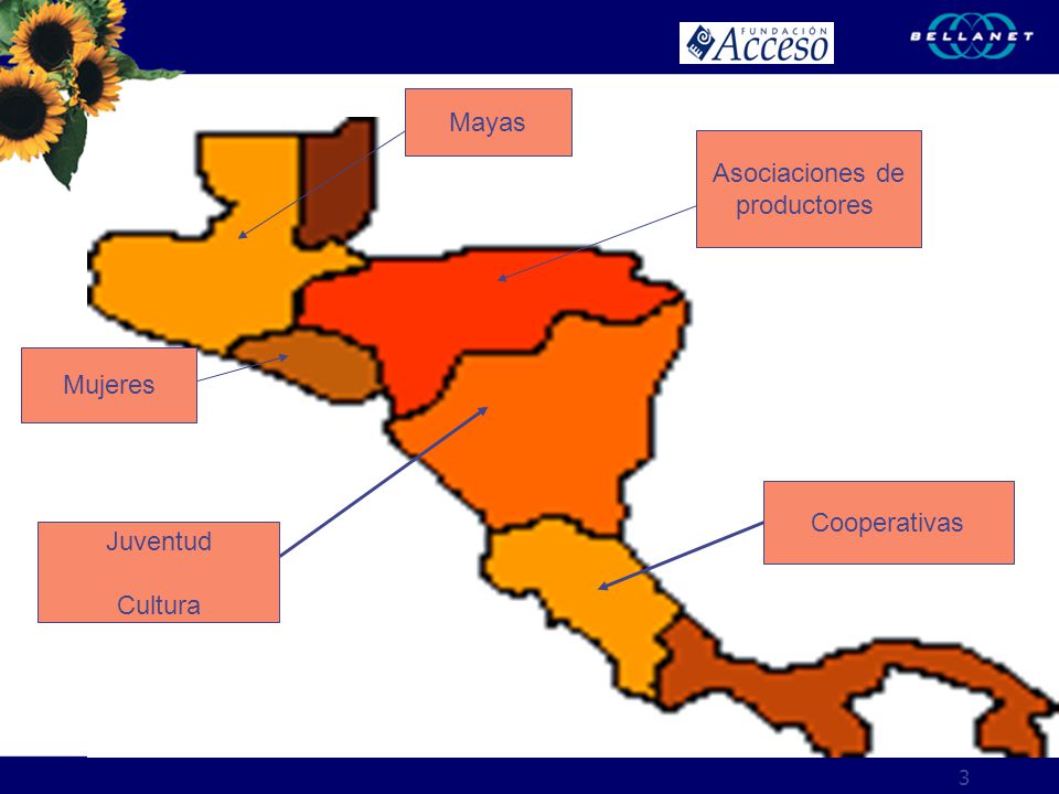 Mayas Asociaciones de productores Mujeres Cooperativas Juventud Cultura