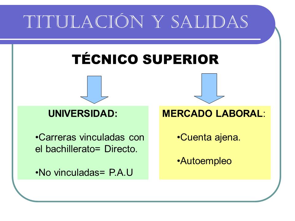 TITULACIÓN Y SALIDAS TÉCNICO SUPERIOR UNIVERSIDAD: