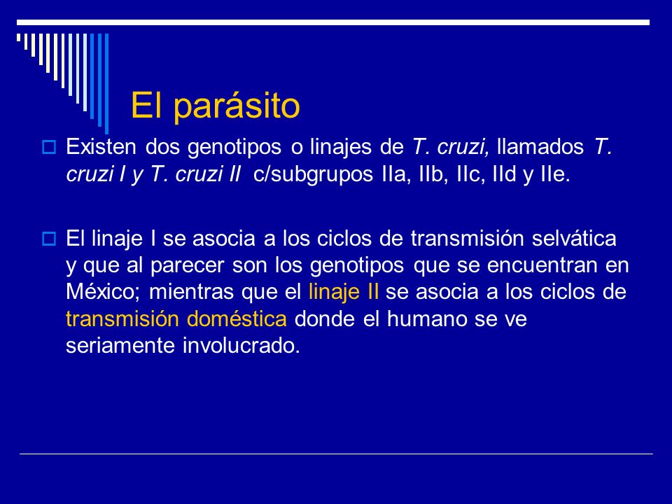 El parásito Existen dos genotipos o linajes de T. cruzi, llamados T. cruzi I y T. cruzi II c/subgrupos IIa, IIb, IIc, IId y IIe.