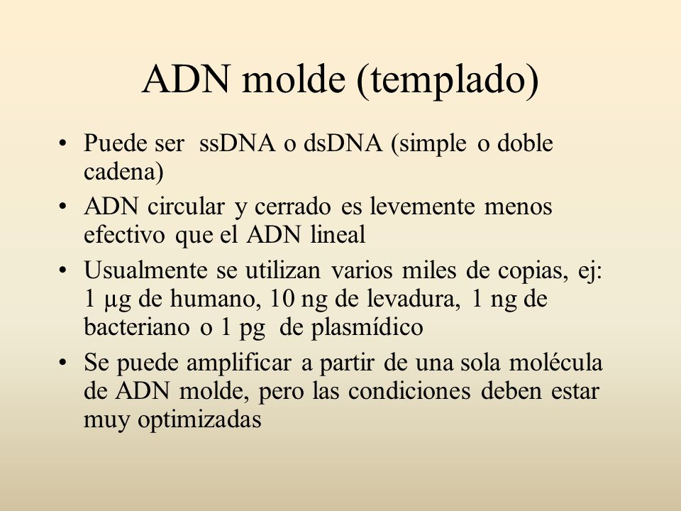 ADN molde (templado) Puede ser ssDNA o dsDNA (simple o doble cadena)
