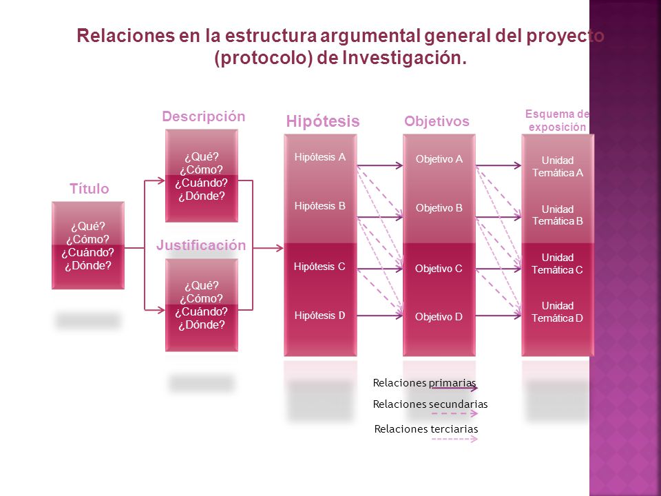 Relaciones en la estructura argumental general del proyecto (protocolo) de Investigación.
