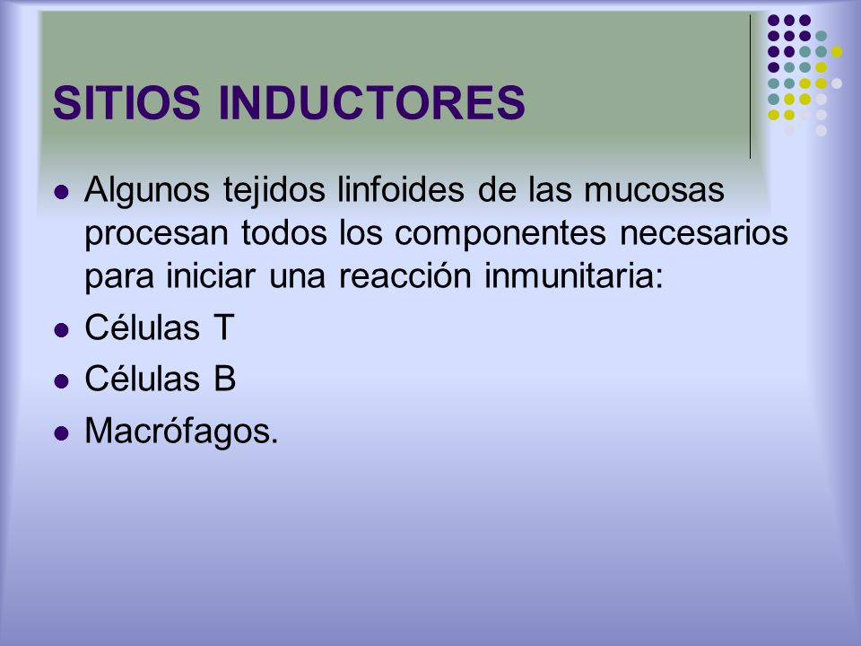 SITIOS INDUCTORES Algunos tejidos linfoides de las mucosas procesan todos los componentes necesarios para iniciar una reacción inmunitaria: