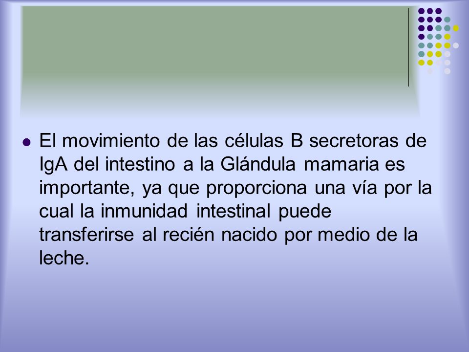 El movimiento de las células B secretoras de IgA del intestino a la Glándula mamaria es importante, ya que proporciona una vía por la cual la inmunidad intestinal puede transferirse al recién nacido por medio de la leche.