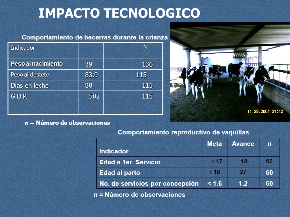 IMPACTO TECNOLOGICO Comportamiento de becerras durante la crianza 39