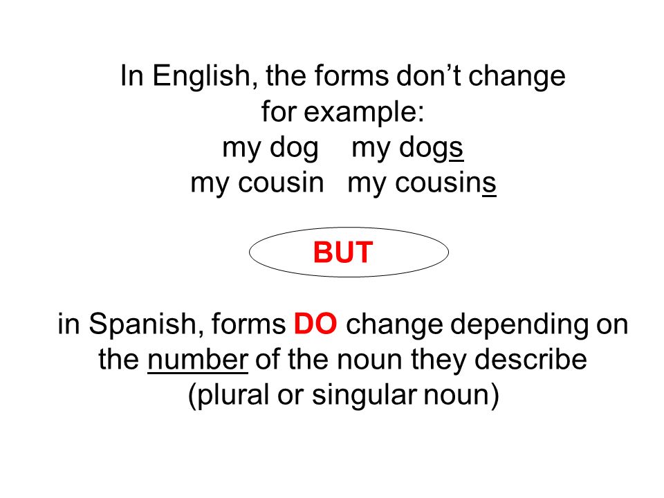 In English, the forms don’t change for example: my dog my dogs my cousin my cousins BUT in Spanish, forms DO change depending on the number of the noun they describe (plural or singular noun)