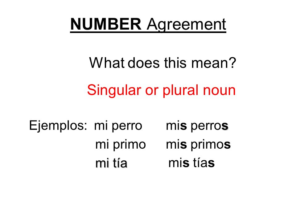 Singular or plural noun