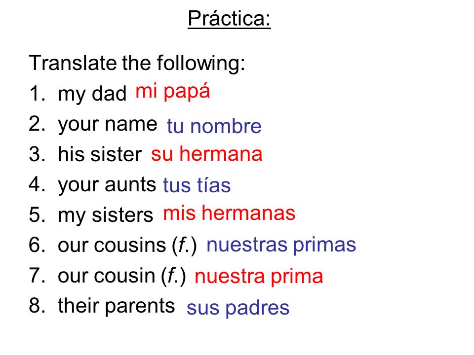 Práctica: Translate the following: 1. my dad. 2. your name. 3. his sister. 4. your aunts. 5. my sisters.