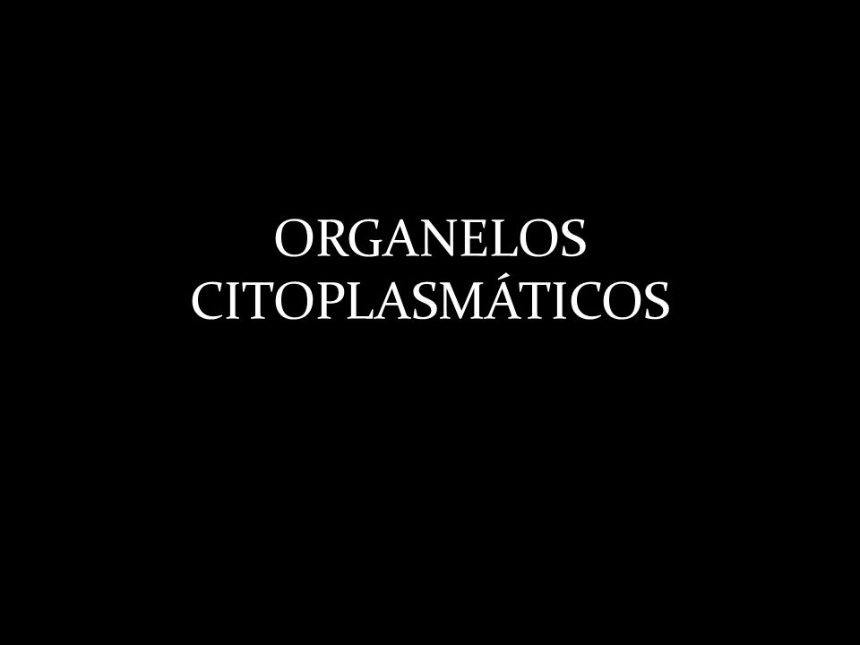 ORGANELOS CITOPLASMÁTICOS