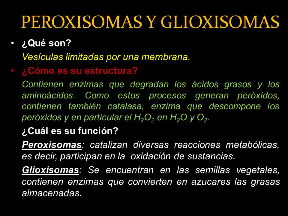 PEROXISOMAS Y GLIOXISOMAS