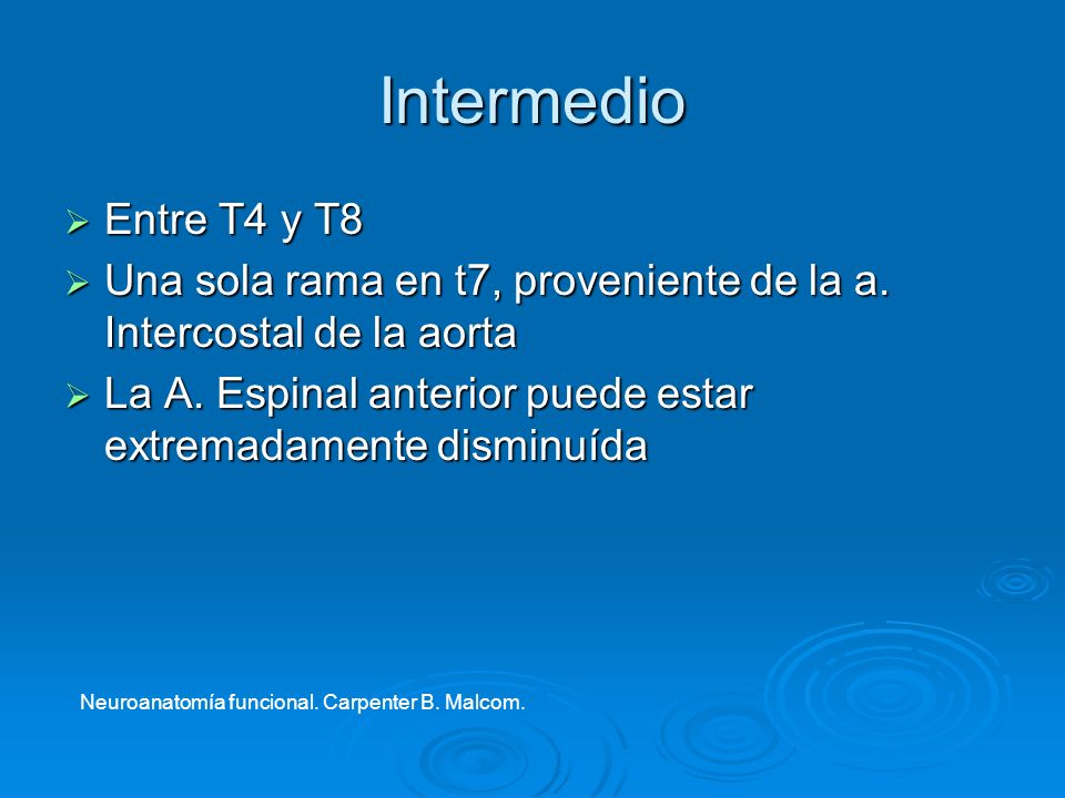 Intermedio Entre T4 y T8. Una sola rama en t7, proveniente de la a. Intercostal de la aorta.