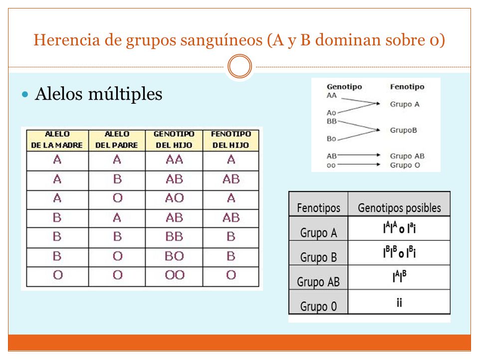 Herencia de grupos sanguíneos (A y B dominan sobre 0)