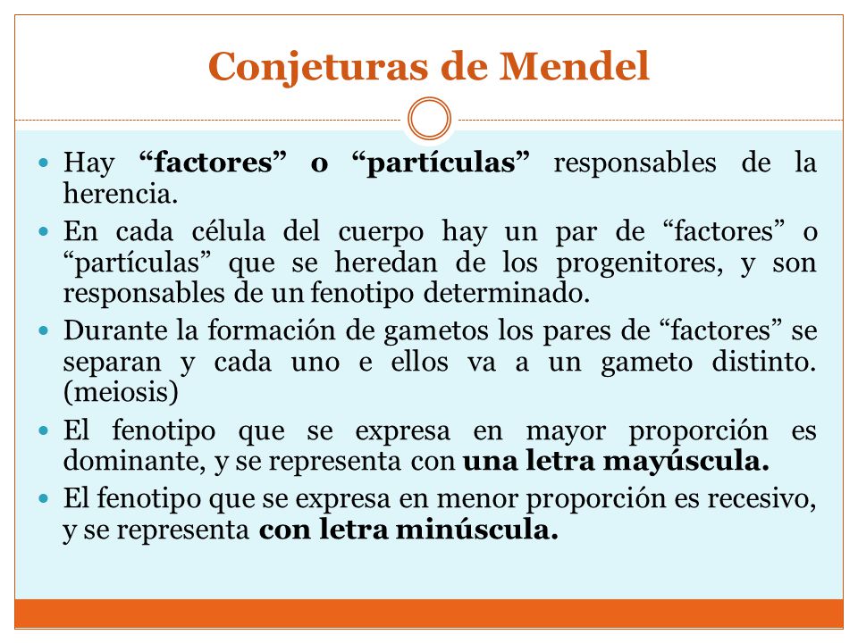 Conjeturas de Mendel Hay factores o partículas responsables de la herencia.