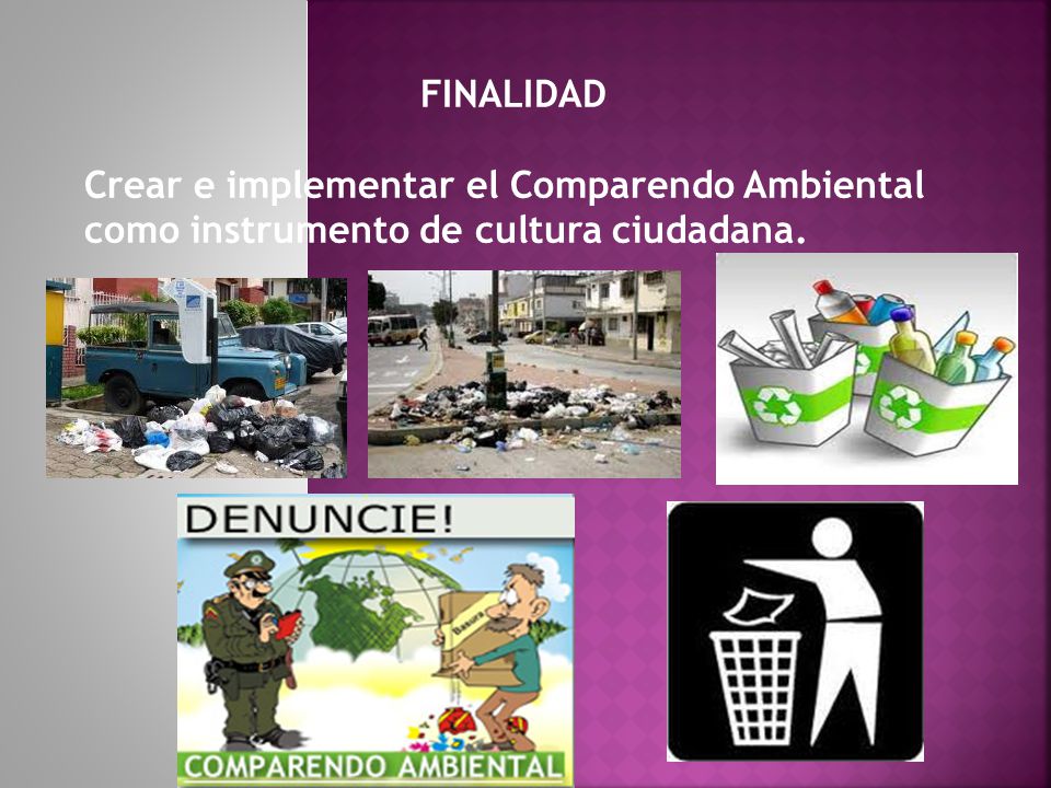 FINALIDAD Crear e implementar el Comparendo Ambiental como instrumento de cultura ciudadana.