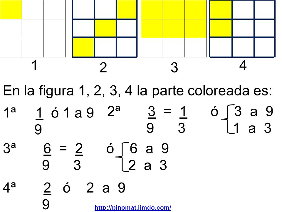 En la figura 1, 2, 3, 4 la parte coloreada es: