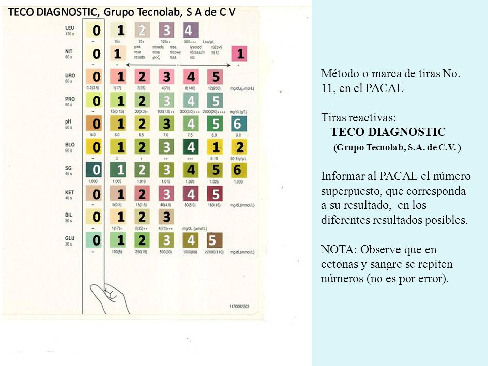 Método o marca de tiras No. 11, en el PACAL