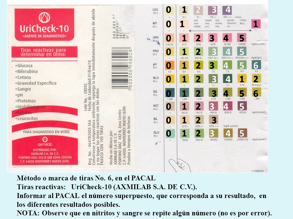 Método o marca de tiras No. 6, en el PACAL