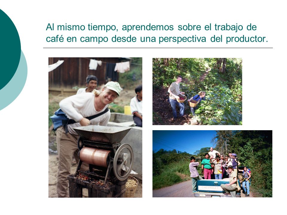 Al mismo tiempo, aprendemos sobre el trabajo de café en campo desde una perspectiva del productor.