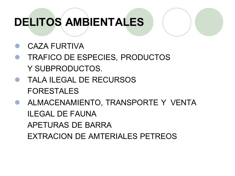 DELITOS AMBIENTALES CAZA FURTIVA TRAFICO DE ESPECIES, PRODUCTOS