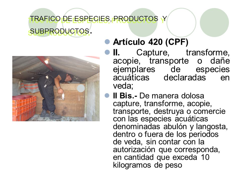 TRAFICO DE ESPECIES, PRODUCTOS Y SUBPRODUCTOS.