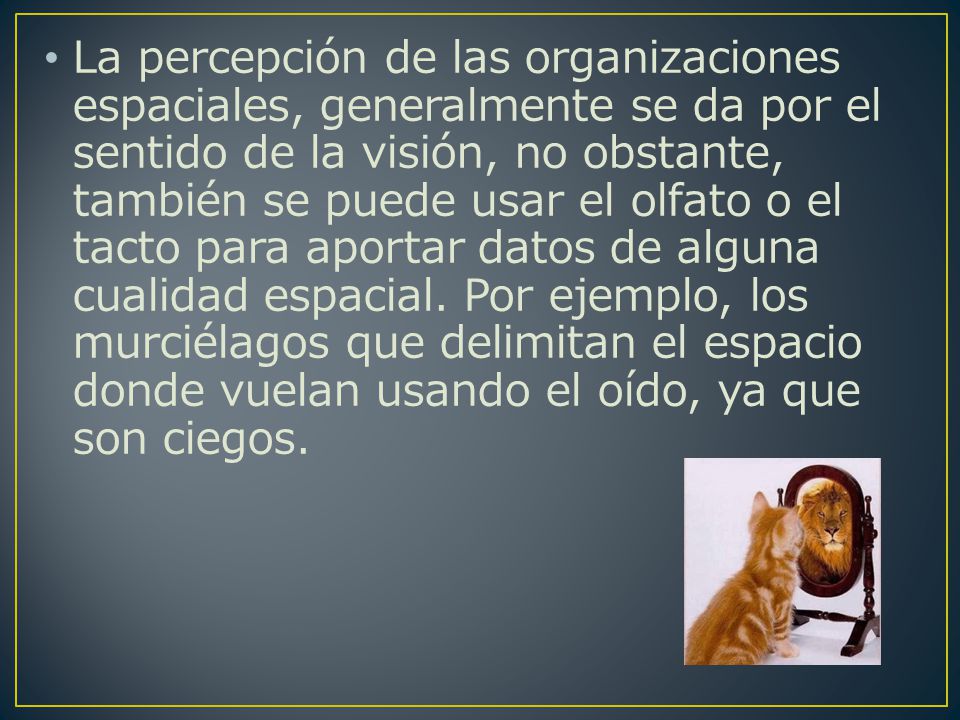 La percepción de las organizaciones espaciales, generalmente se da por el sentido de la visión, no obstante, también se puede usar el olfato o el tacto para aportar datos de alguna cualidad espacial.