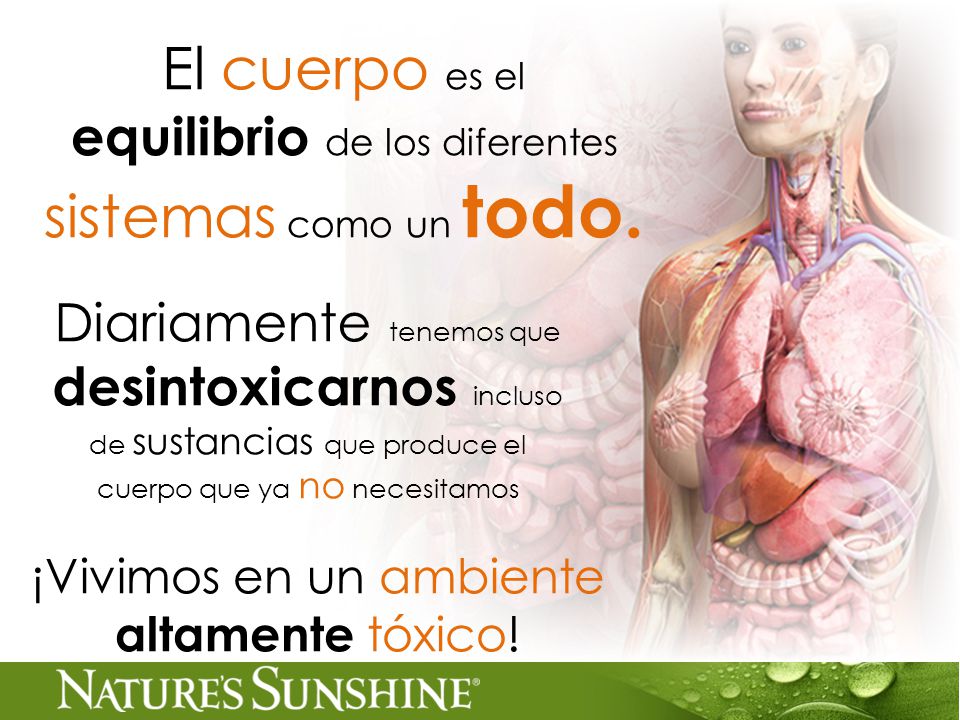El cuerpo es el equilibrio de los diferentes sistemas como un todo.