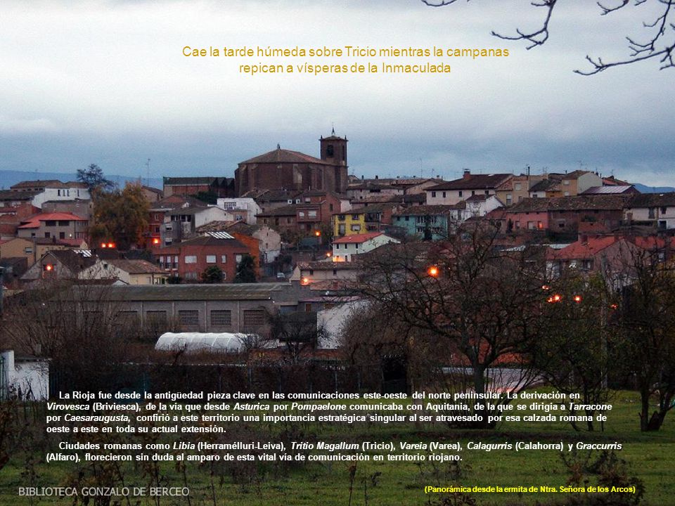 (Panorámica desde la ermita de Ntra. Señora de los Arcos)