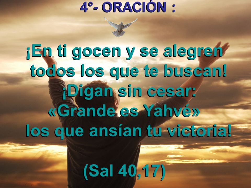 ¡En ti gocen y se alegren todos los que te buscan! ¡Digan sin cesar: