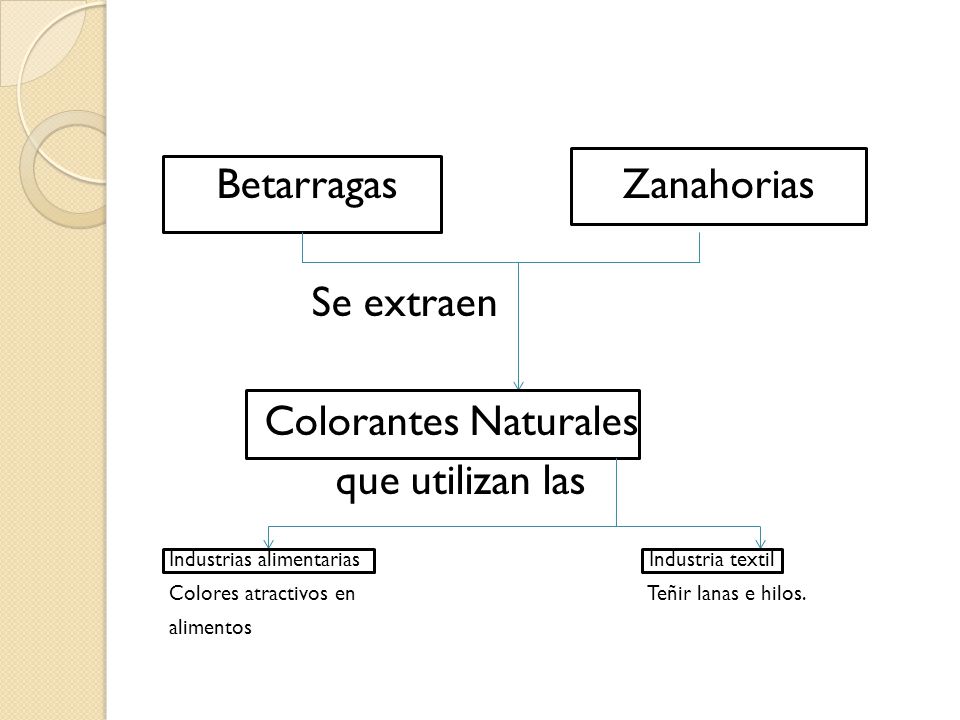 Betarragas Zanahorias Se extraen Colorantes Naturales que utilizan las