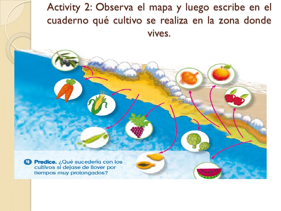 Activity 2: Observa el mapa y luego escribe en el cuaderno qué cultivo se realiza en la zona donde vives.